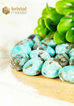 Amazonite EX Tumbled Stones - size M - Madagascar