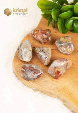 Laguna Lace Agate Tumbled Stones - size L